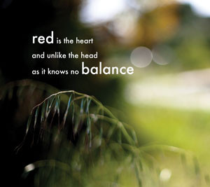 Red Balance by Anna Morley